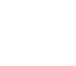 Theosec Logo